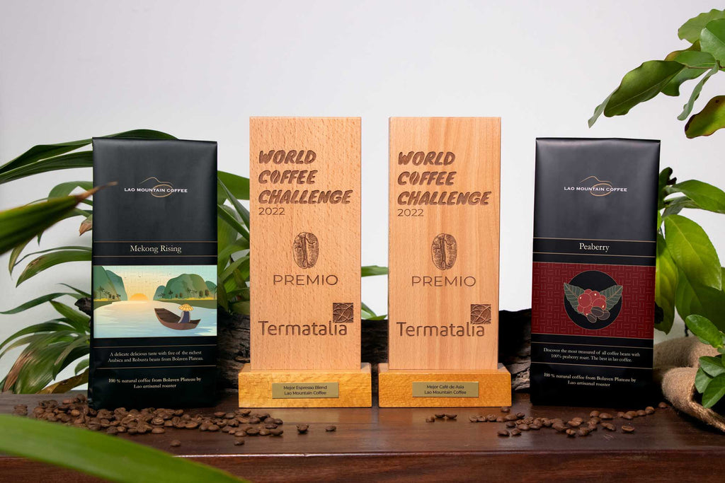 Lao Mountain Coffee Won at World Coffee Challenge 2022